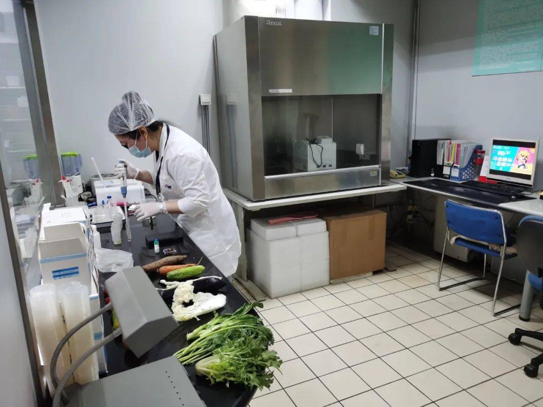 虎门镇食品检测实验室装修方案